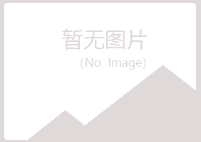 阳山县山柳能源有限公司